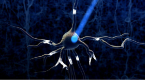 What Is The Science Of Optogenetics & What Can It Do?